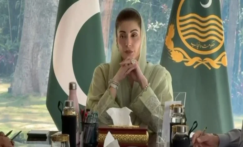 وزیراعلیٰ پنجاب کا گندم کے کاشتکاروں کو6 ارب روپے کا باردانہ مفت دینے کا اعلان