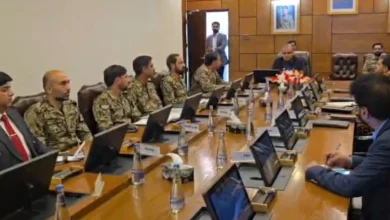 وزیرداخلہ محسن نقوی کی کراچی سے عراق تک فیری سروس چلانے کی فزیبلٹی تیار کرنے کی ہدایت