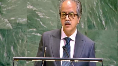 پاکستان خطے کے تمام برادر ممالک کی خودمختاری اور سلامتی کی حمایت کرتا ہے، عاصم افتخار احمد