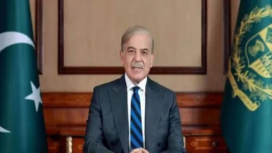 پاکستان کا ثقافتی ورثہ کثیر الجہتی تہذیب و تمدن سے مزین ہے ، وزیراعظم محمد شہباز شریف