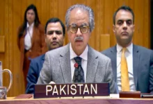 پاکستان نے لیبیا کے استحکام کے لیے سیاسی، سکیورٹی اور معاشی پہلوؤں کو کلیدی قراردے دیا