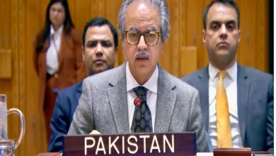 پاکستان نے لیبیا کے استحکام کے لیے سیاسی، سکیورٹی اور معاشی پہلوؤں کو کلیدی قراردے دیا