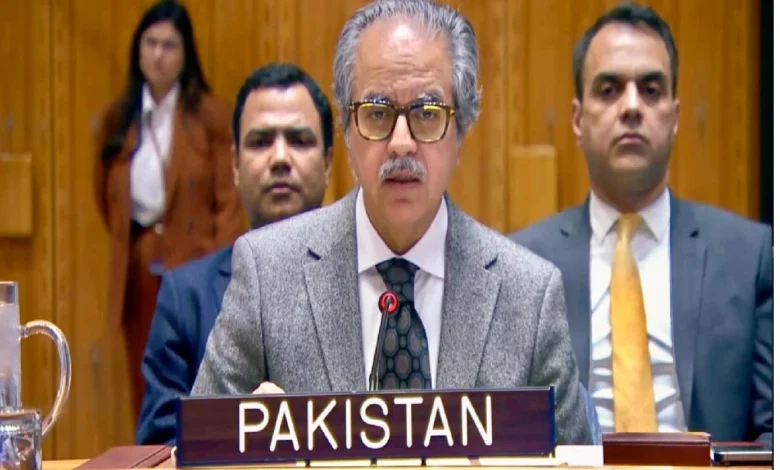 پاکستان نے لیبیا کے استحکام کے لیے سیاسی، سکیورٹی اور معاشی پہلوؤں کو کلیدی قراردے دیا