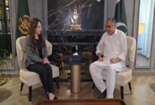 وزیر داخلہ محسن نقوی سے امریکی ناظم الامور نیٹلی بیکر کی اہم ملاقات