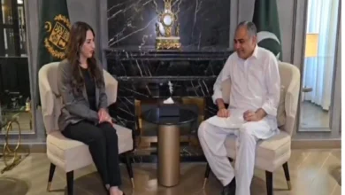 وزیر داخلہ محسن نقوی سے امریکی ناظم الامور نیٹلی بیکر کی اہم ملاقات