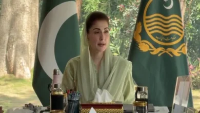 پنجاب میں میٹ ایکسپورٹ کے لئے چینی کمپنی سمیت 7اداروں سے ایم او یو پر دستخط