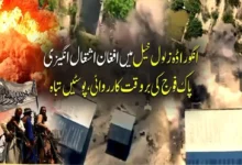 انگور اڈہ زلول خیل میں کشیدگی: پاک فوج کی بروقت جوابی کارروائی، متعدد پوسٹیں تباہ، دراندازی کی کوشش ناکام