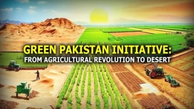 گرین پاکستان انیشیٹو: صحراؤں سے زرعی خوشحالی تک کا تاریخی سفر