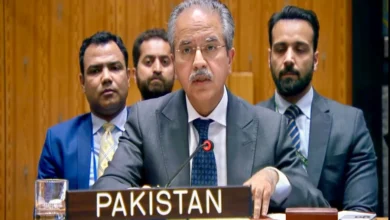 مشرقِ وسطیٰ میں پائیدار امن کے لیے فلسطینی ریاست کا قیام ناگزیر ہے: پاکستان