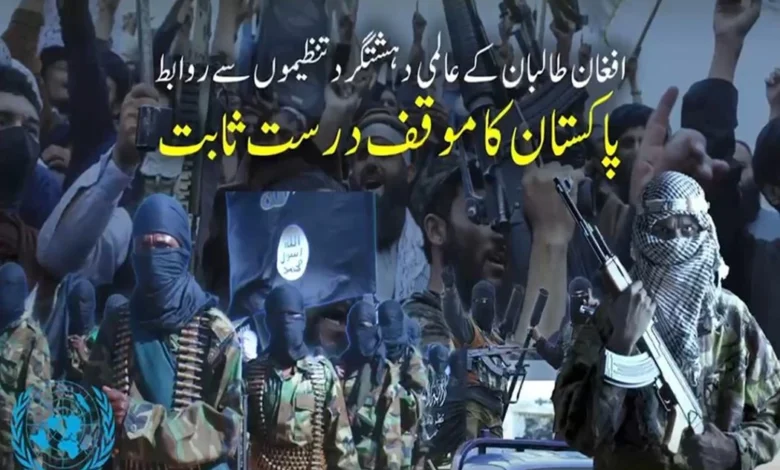 عالمی دہشت گرد تنظیم القاعدہ کی افغان طالبان کی حمایت، پاکستان کا مؤقف ایک بار پھر درست ثابت