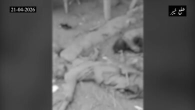 ضلع خیبر میں سیکیورٹی فورسز کا بڑا آپریشن: 22 شدت پسند ہلاک، سینی ٹائزیشن جاری