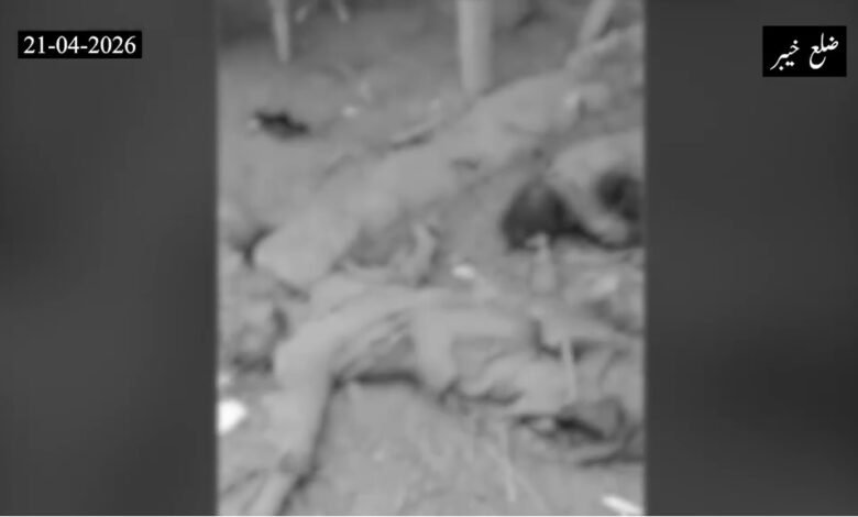 ضلع خیبر میں سیکیورٹی فورسز کا بڑا آپریشن: 22 شدت پسند ہلاک، سینی ٹائزیشن جاری