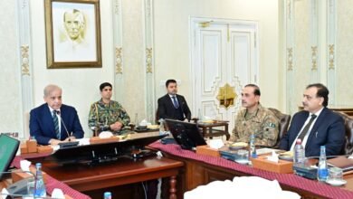 خطے میں جنگ کے خاتمے کے لیے پاکستان متحرک، وزیراعظم شہباز شریف کا اہم بیان