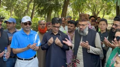 پنجاب حکومت اور برگد کے اشتراک سے "ینگ گرینرز پلانٹیشن مہم " کا باقاعدہ آغاز