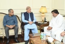 وزیراعظم محمد شہباز شریف کی سپیکر پنجاب اسمبلی ملک محمد احمد خاں سے تعزیتی ملاقات