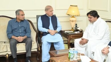 وزیراعظم محمد شہباز شریف کی سپیکر پنجاب اسمبلی ملک محمد احمد خاں سے تعزیتی ملاقات