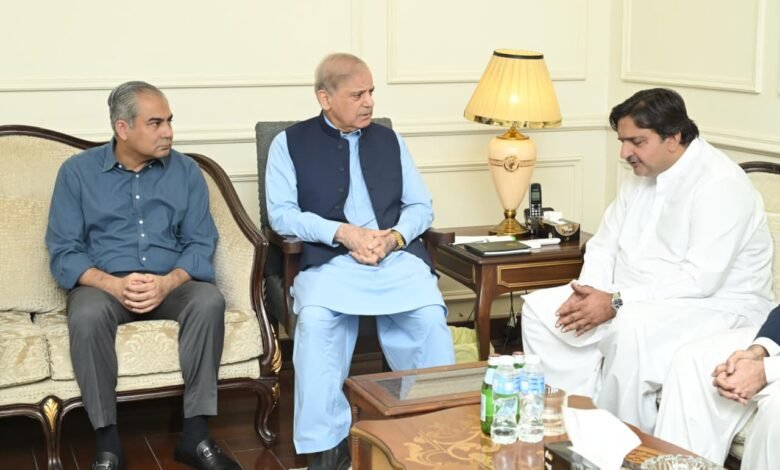 وزیراعظم محمد شہباز شریف کی سپیکر پنجاب اسمبلی ملک محمد احمد خاں سے تعزیتی ملاقات