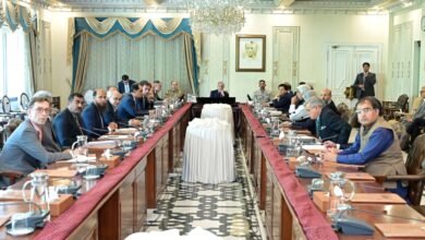 شہباز شریف کی ہدایت: قیمتی پتھروں کے شعبے کی ترقی کیلئے 3 سینٹرز آف ایکسیلینس قائم، برآمدات بڑھانے کا جامع پلان طلب