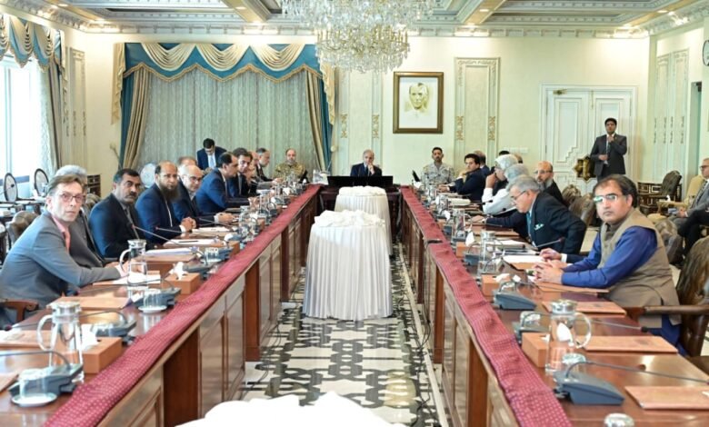 شہباز شریف کی ہدایت: قیمتی پتھروں کے شعبے کی ترقی کیلئے 3 سینٹرز آف ایکسیلینس قائم، برآمدات بڑھانے کا جامع پلان طلب