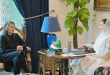 پنجاب فلم سٹی: پاکستان کا پہلا اینڈ ٹو اینڈ میڈیا پروڈکشن ہب بنانے کا منصوبہ