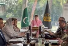 پاکستان: پنجاب میں بڑھتے جرائم پر مریم نواز شریف کا سخت نوٹس، پولیس کو فوری اور مؤثر اقدامات کی ہدایت