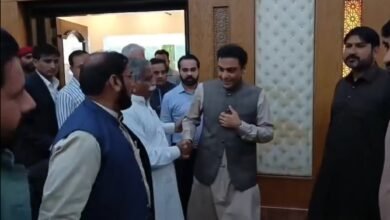 مسلم لیگ (ن) میں اندرونی سیاسی سرگرمیاں تیز، حمزہ شہباز دوبارہ متحرک