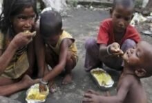 اقوام متحدہ کی رپورٹ: دنیا کے دو تہائی افراد خوراک کے بحران کا شکار، 266 ملین افراد شدید بھوک کا سامنا کر رہے ہیں