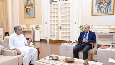 پاکستان سپر لیگ پلے آف میچز میں شائقین کی شرکت کی منظوری، پبلک ٹرانسپورٹ کے استعمال پر زور