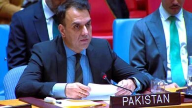 او آئی سی اجلاس: پاکستان کی لبنان میں اسرائیلی حملوں کی شدید مذمت، کشیدگی میں کمی اور انسانی امداد تک رسائی پر زور