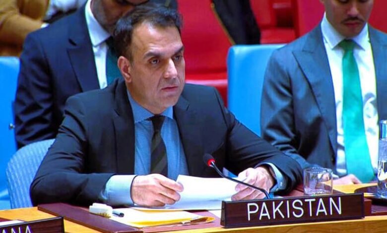 او آئی سی اجلاس: پاکستان کی لبنان میں اسرائیلی حملوں کی شدید مذمت، کشیدگی میں کمی اور انسانی امداد تک رسائی پر زور