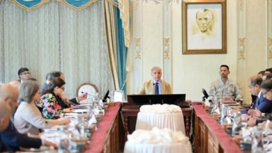 وزیر اعظم شہباز شریف کا نوجوانوں کے لیے روزگار کے مواقع بڑھانے کے لیے حکومت کے اقدامات پر اظہار اطمینان