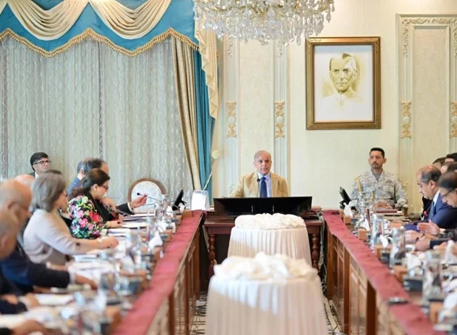 وزیر اعظم شہباز شریف کا نوجوانوں کے لیے روزگار کے مواقع بڑھانے کے لیے حکومت کے اقدامات پر اظہار اطمینان