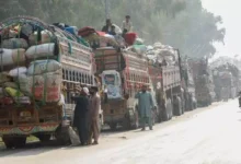 ڈی پورٹ کیے جانے والے افراد میں 13 ہزار سے زائد مرد، 6 ہزار 868 خواتین اور 14 ہزار سے زائد بچے شامل ہیں