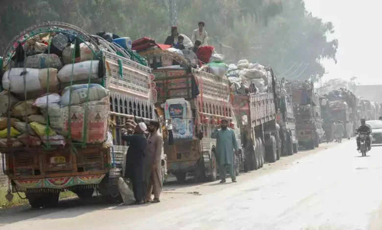 ڈی پورٹ کیے جانے والے افراد میں 13 ہزار سے زائد مرد، 6 ہزار 868 خواتین اور 14 ہزار سے زائد بچے شامل ہیں