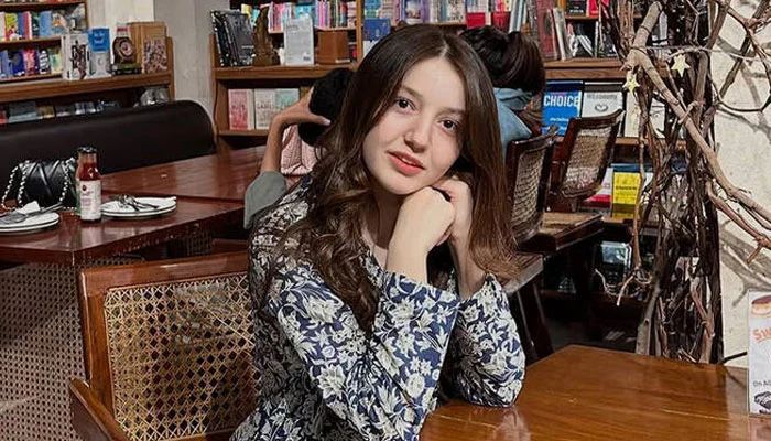 ٹک ٹاکر ثنا یوسف قتل کیس کا فیصلہ: ملزم کو سزائے موت ، سوشل میڈیا پر متحرک خواتین کی سکیورٹی پر نئے سوالات
