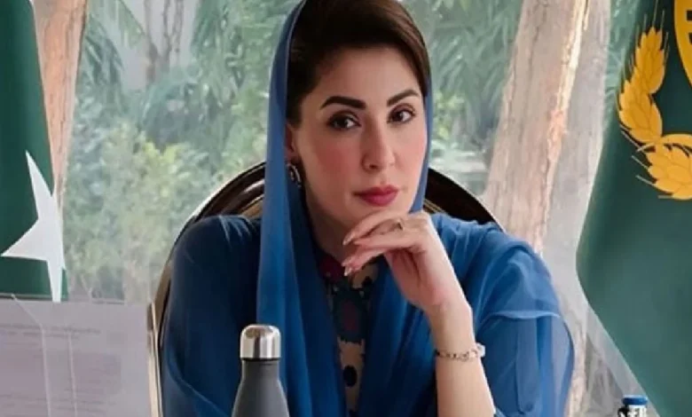 وزیراعلیٰ پنجاب کاآزادی صحافت کے جہدوجہد کرنے والے صحافیوں کو خراجِ تحسین