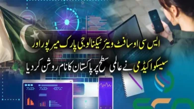 پاکستان نے ڈیجیٹل صلاحیتوں میں کئی ممالک کو پیچھے چھوڑ دیا