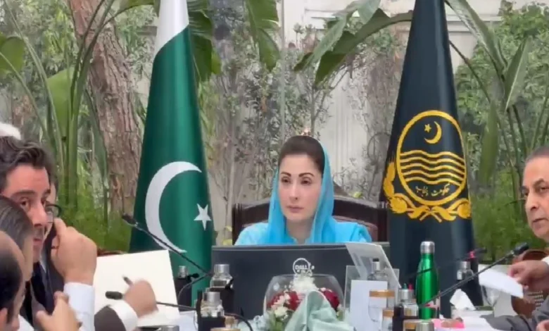 کچے سے چولستان تک،طالبعلم سے کسان تک،میگا پراجیکٹس سے مائیکرو ریلیف تک پنجاب کابینہ کے بڑے فیصلے
