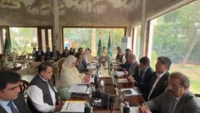 وزیراعلیٰ مریم نواز شریف کا اضلاع کو خودمختار بنانے کا تاریخی فیصلہ، اربوں روپے کے ترقیاتی منصوبے شروع