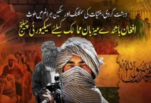 مختلف ممالک میں افغان باشندوں کے جرائم کا انکشاف، دہشت گردی اور منشیات سمگلنگ عالمی سکیورٹی کیلئے نیا چیلنج