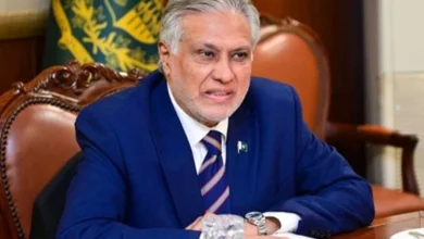 سنگاپور اور تھائی لینڈ کے تعاون سے 11 پاکستانیوں اور 20 ایرانی شہریوں کی کامیاب وطن واپسی، پاکستان کی سفارتی کوششیں رنگ لے آئیں