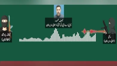 پاکستان کے صوبہ خیبر پختونخوا کی حکمران سیاسی جماعت اور فتنہ الخوارج کے مبینہ روابط ، آڈیو لیک منظرِ عام پر آگئی