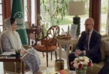 وزیراعلیٰ پنجاب مریم نواز شریف سے ایشین انفراسٹرکچر انویسٹمنٹ بینک کے وفد کی ملاقات