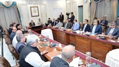 حکومت آئی ٹی صنعت کے فروغ، ڈیجیٹل انفراسٹرکچر کی توسیع اور برآمدات میں اضافے کو اپنی اولین ترجیحات میں شامل کیے ہوئے ہے۔