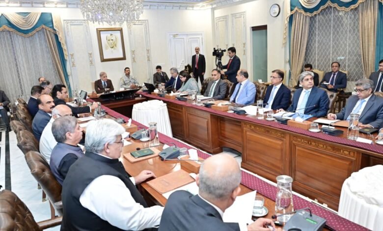 حکومت آئی ٹی صنعت کے فروغ، ڈیجیٹل انفراسٹرکچر کی توسیع اور برآمدات میں اضافے کو اپنی اولین ترجیحات میں شامل کیے ہوئے ہے۔