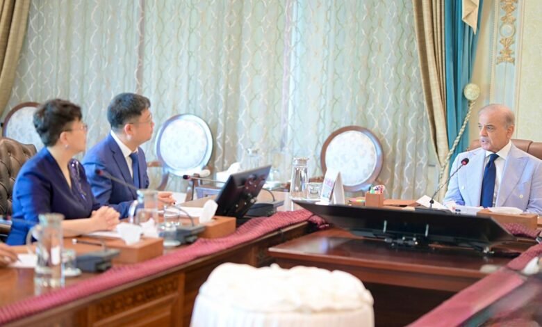 چینی ٹیکنالوجی کمپنی آئی بی آئی گروپ پاکستان میں ڈیجیٹل اکانومی ہیڈکوارٹر قائم کرے گا، وزیراعظم شہباز شریف سے اعلیٰ سطحی وفد کی ملاقات