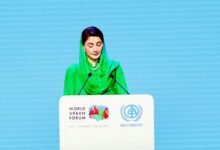 صاف ماحول اور انسانی ترقی پنجاب حکومت کی اولین ترجیح ہے، مریم نواز