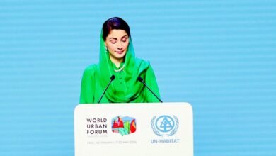 صاف ماحول اور انسانی ترقی پنجاب حکومت کی اولین ترجیح ہے، مریم نواز