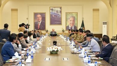 بلوچستان میں معدنی راہداری کے تحفظ کیلئے بڑا فیصلہ،رخشان ڈویژن میں خصوصی سیکیورٹی کوریڈور قائم کرنے کی ہدایت