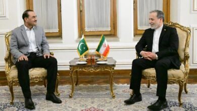 پاکستان کی سفارتی سرگرمیاں تیز، آرمی چیف عاصم منیر اور ایرانی وزیر خارجہ عباس عراقچی کے درمیان مغربی ایشیا کی صورتحال پر تفصیلی بات چیت